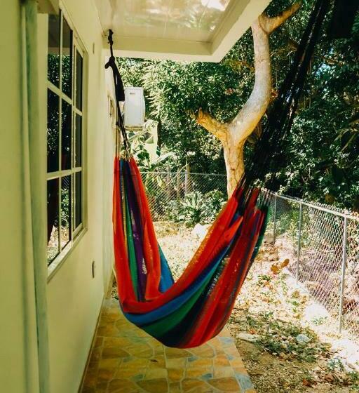 هاستل Posada Mango Tree