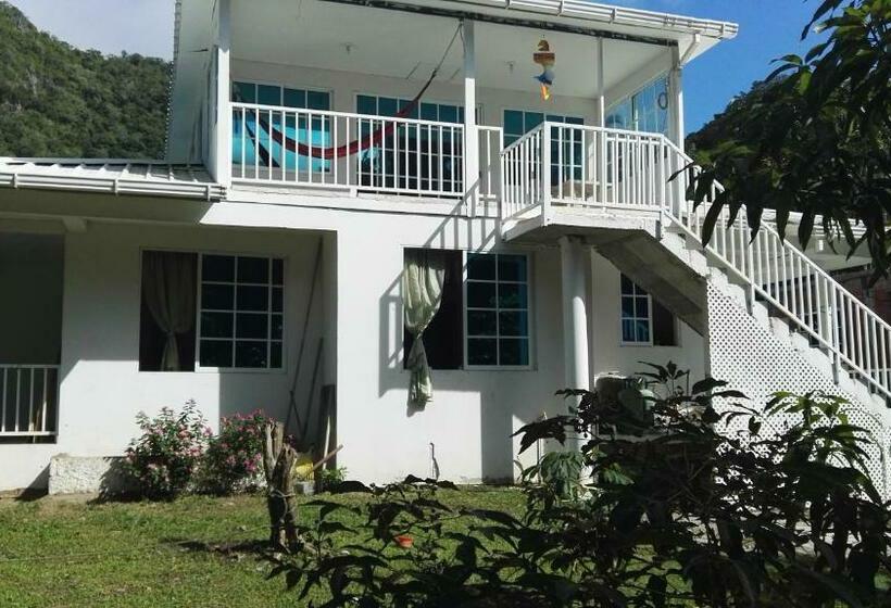 هاستل Posada Mango Tree