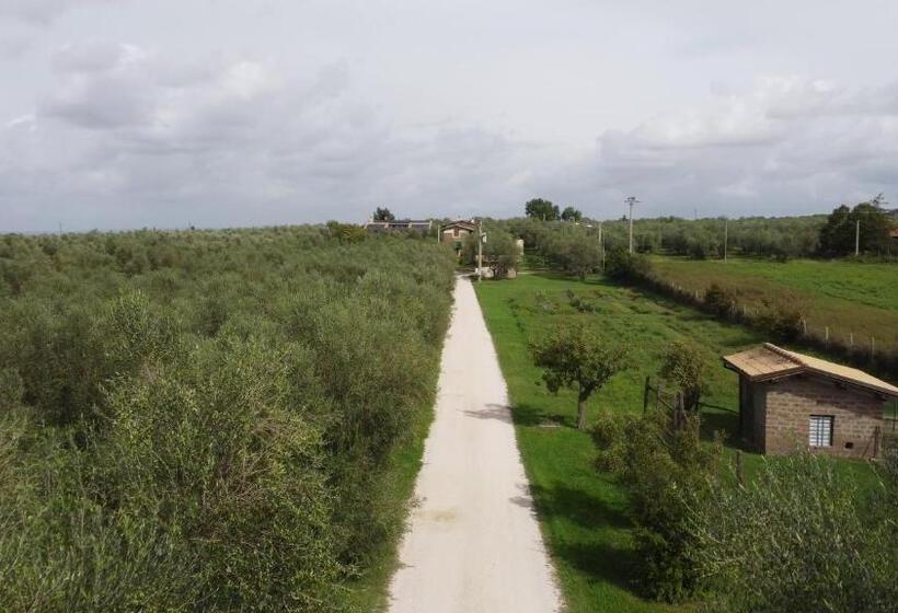 ホテル Agriturismo I Due Casali
