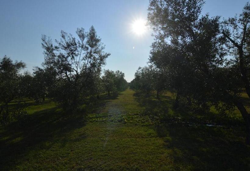 ホテル Agriturismo I Due Casali