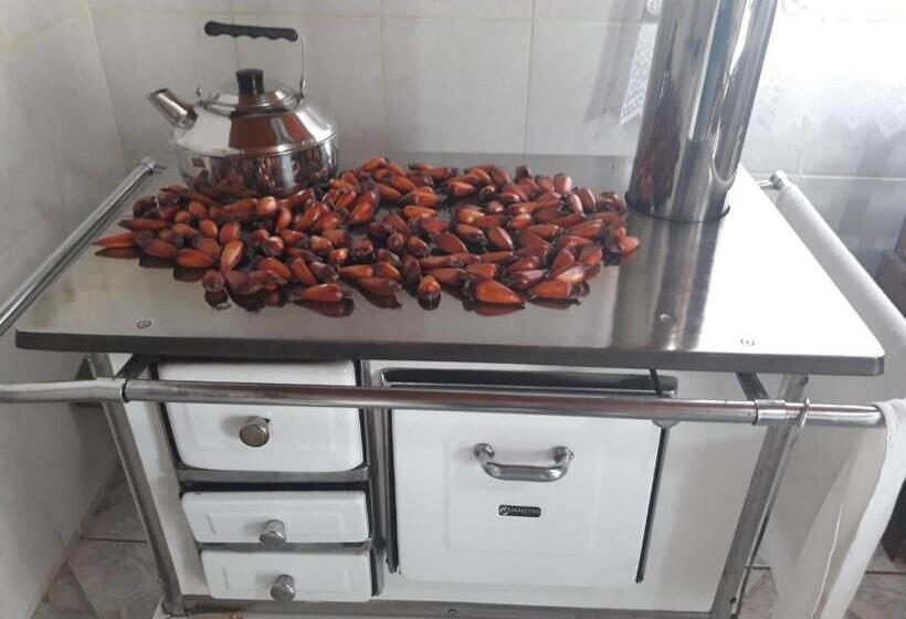 پانسیون Pousada Viva Serra