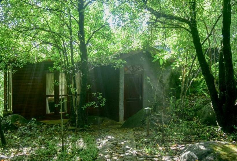 ペンション Sinharaja Rest