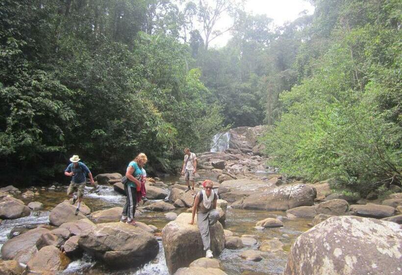 ペンション Sinharaja Rest