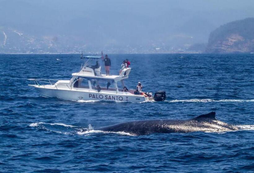 هاستل Whale House