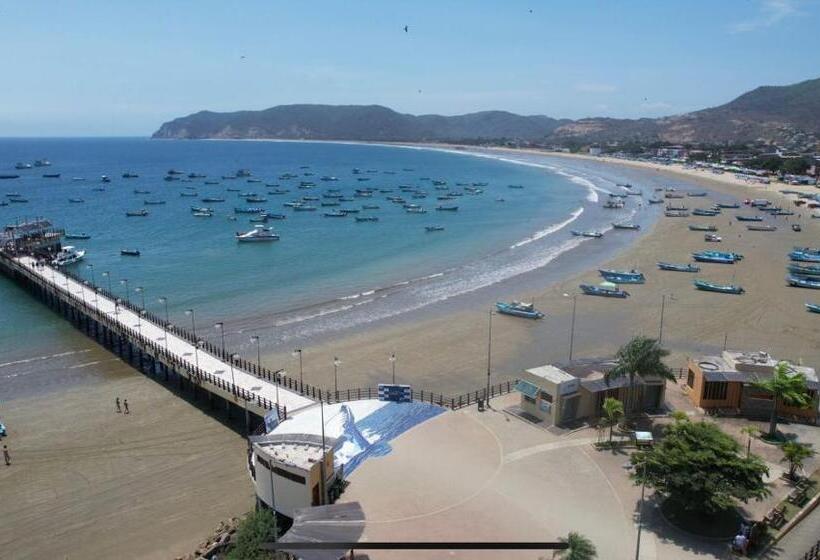 هاستل Whale House