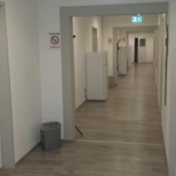Gaestehaus Willis  Monteurzimmervermietung