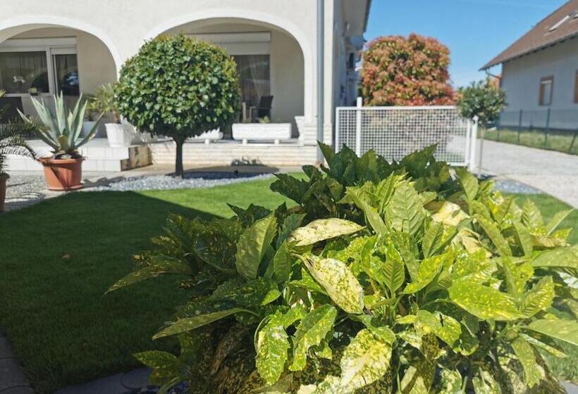 ペンション Csabai Vendégház