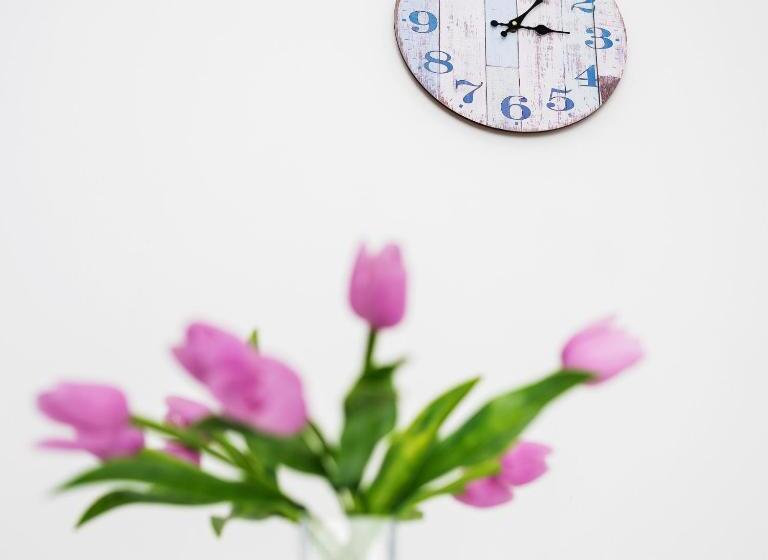 膳宿费 Penzion Pod Sudem