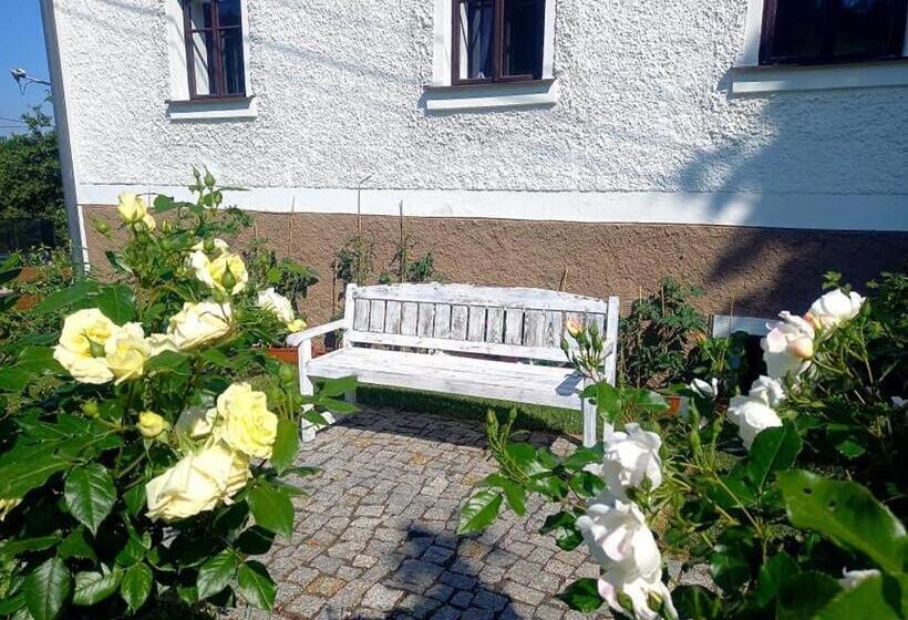 膳宿费 Penzion Pod Sudem