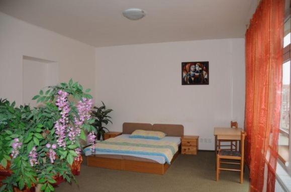 پانسیون Penzion Pupendo