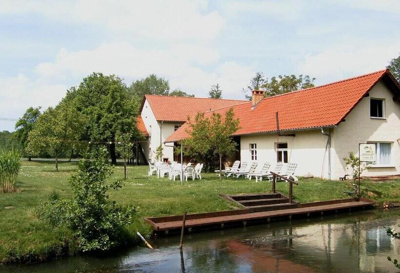 Spreewald Pension Spreeaue