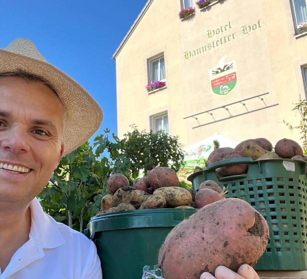 فندق Haunstetter Hof Augsburg