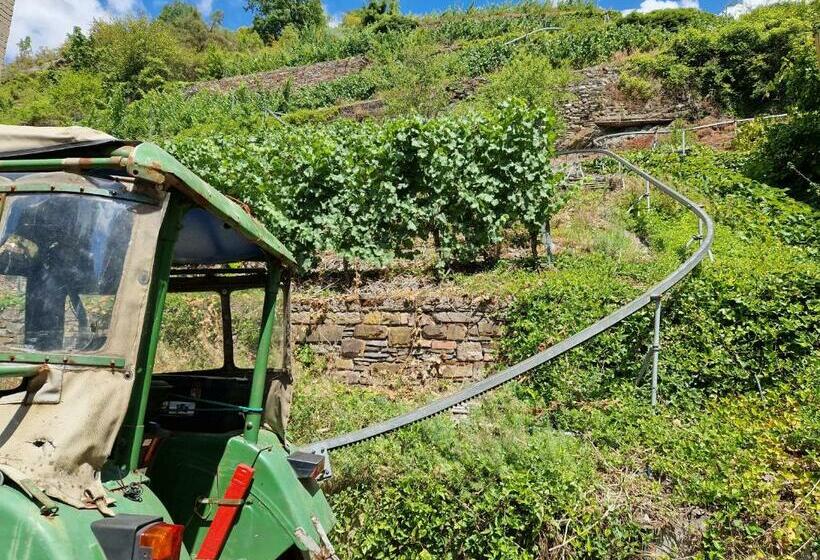 پانسیون Weingut Haxel