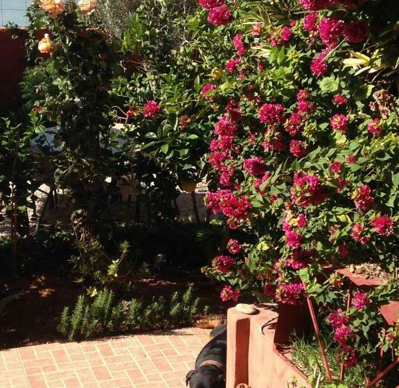 Villa Sunset B&b