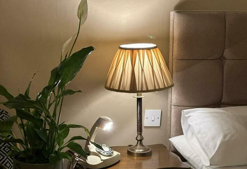 Bed and Breakfast 1869 Room Only Boutique Townhouse