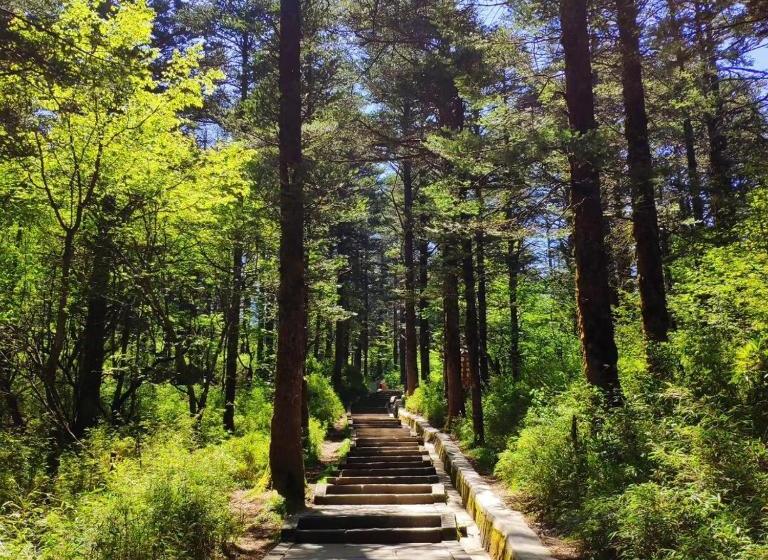 فندق Mount Emei Feng Lin Yue