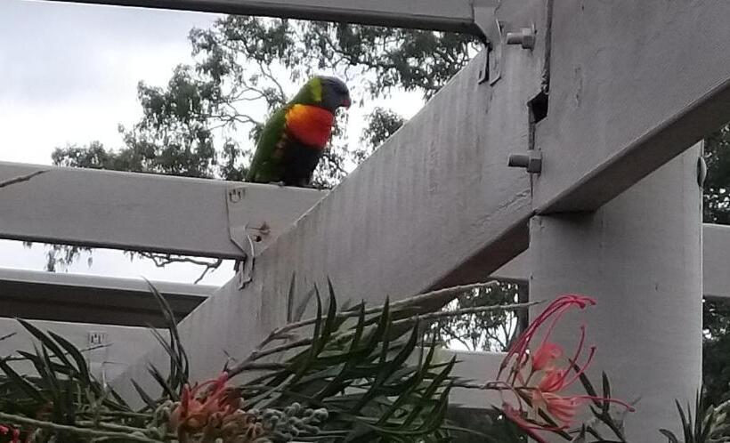 Taree Country Motel