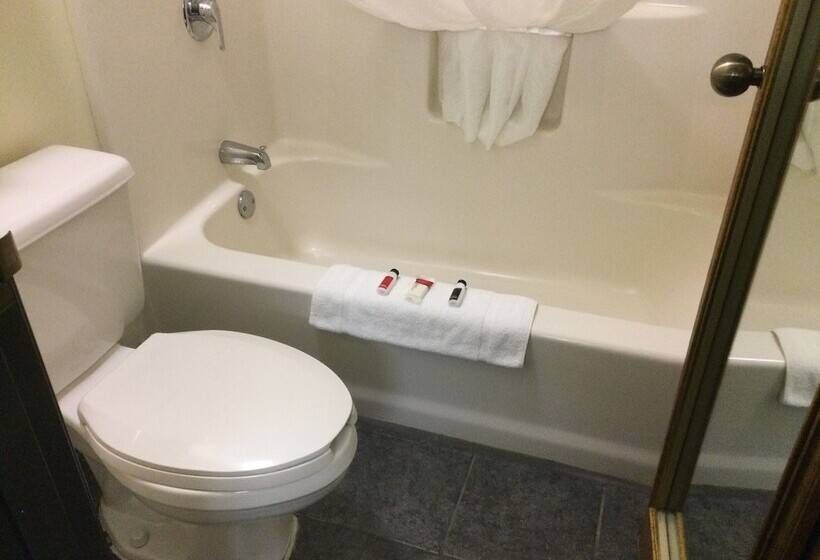 בית מלון כפרי Baymont By Wyndham Battle Creek Downtown