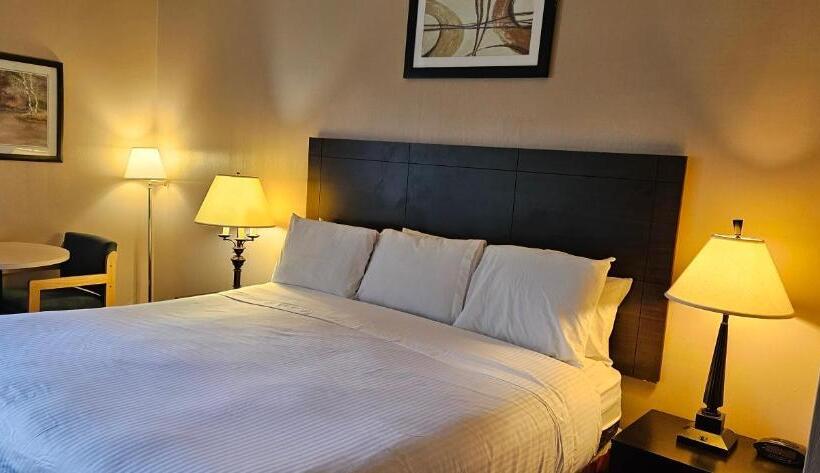 فندق Bellis Inn