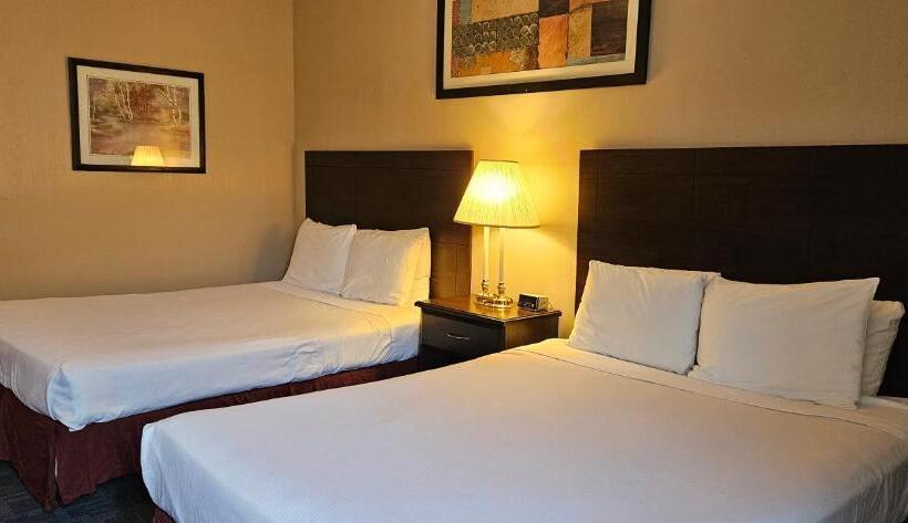 فندق Bellis Inn