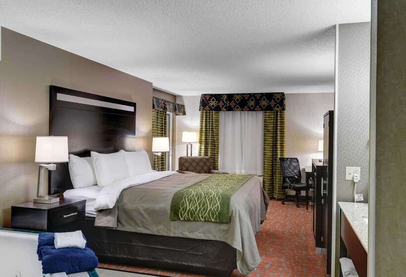 酒店 Comfort Inn