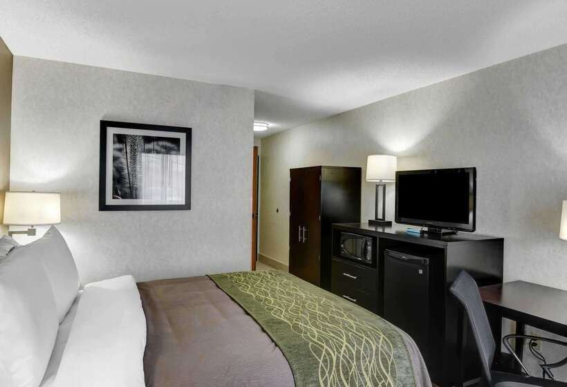 酒店 Comfort Inn