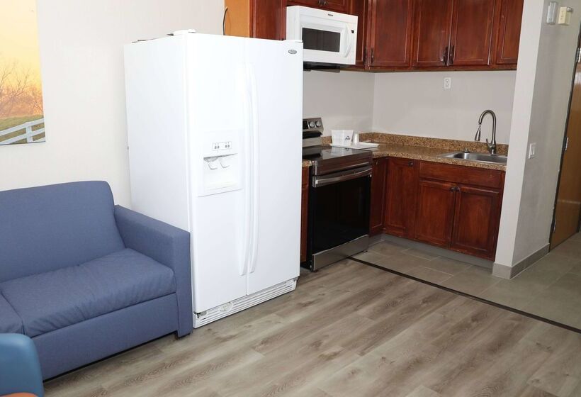 هتل Days Inn & Suites By Wyndham San Antonio North/stone Oak