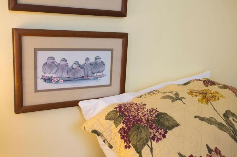 هتل Harding House