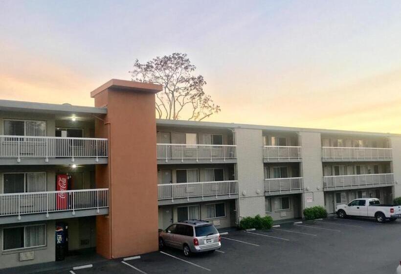 בית מלון כפרי Pacific Motor Inn