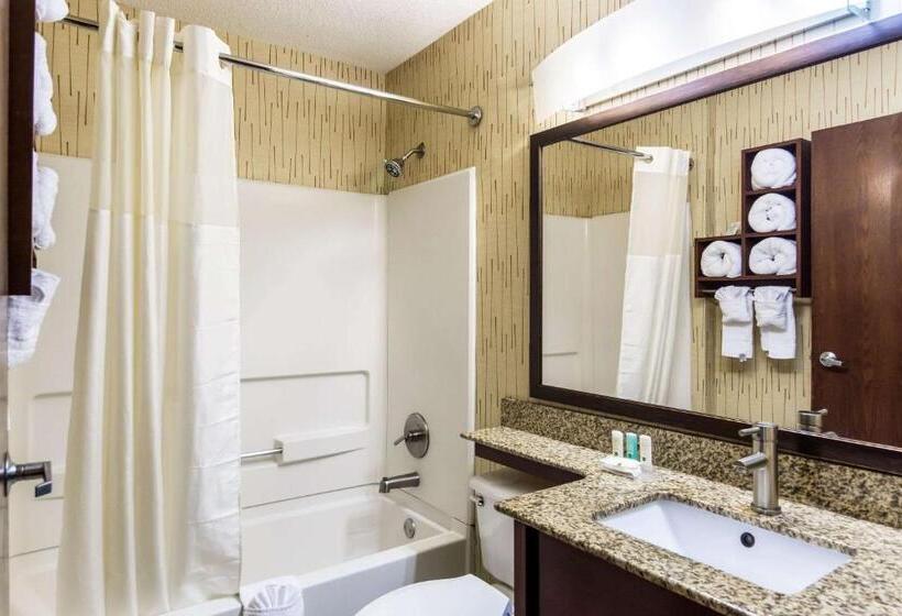 בית מלון כפרי Quality Inn Chester South Richmond