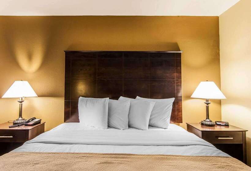 호텔 Quality Inn & Suites