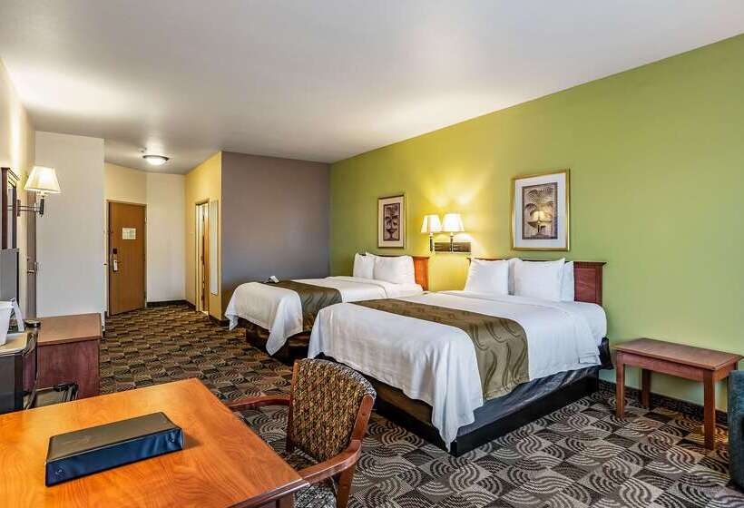 ホテル Quality Inn & Suites
