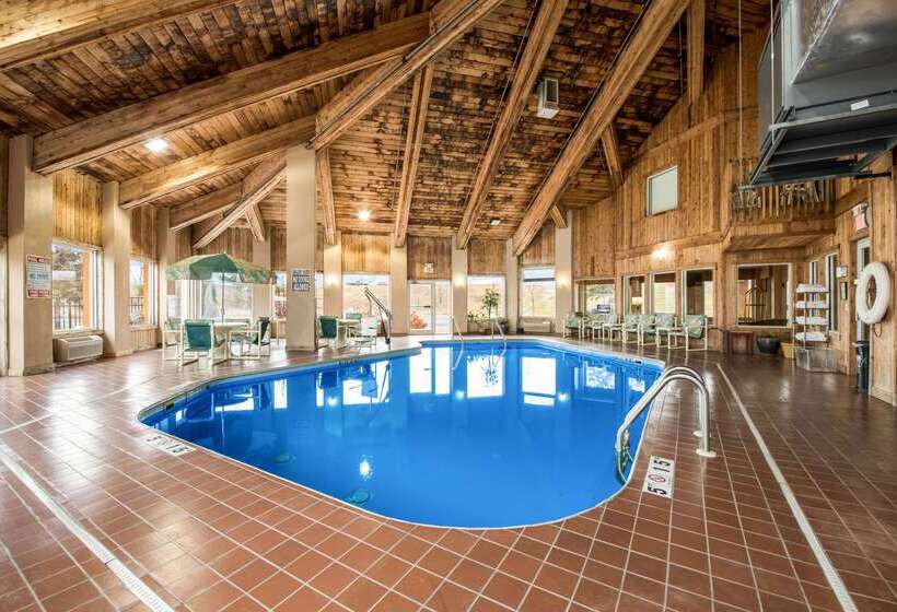 Отель Quality Inn & Suites