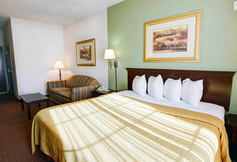 Hotel Quality Inn & Suites Near University