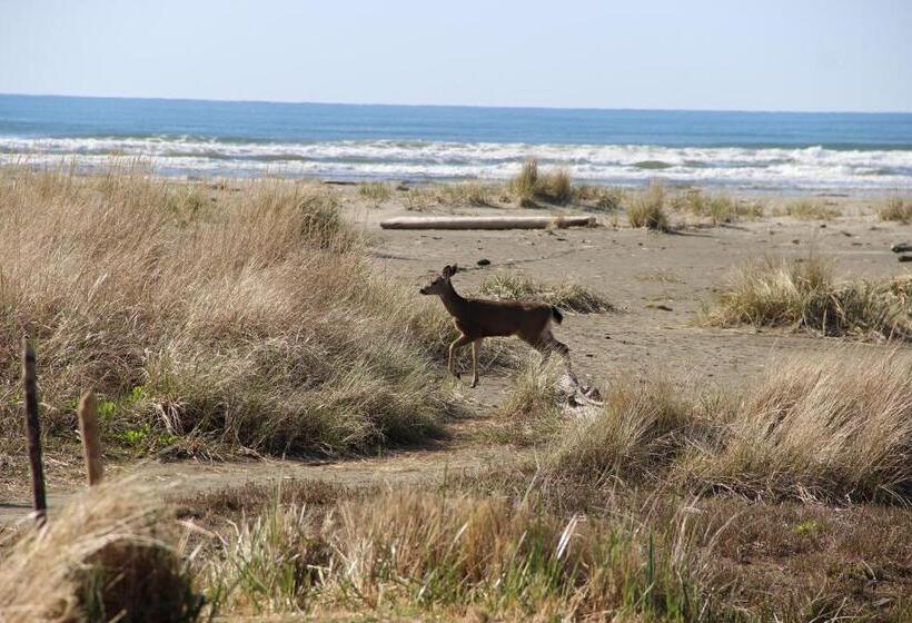 בית מלון כפרי Quinault Beach Resort & Casino