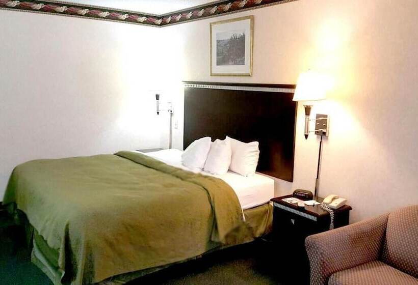فندق Red Carpet Inn & Suites