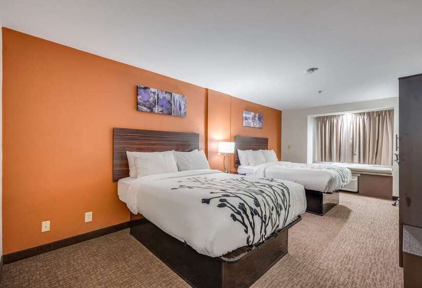 فندق Sleep Inn & Suites