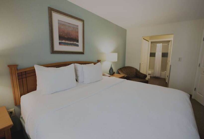酒店 Sonesta Es Suites Austin The Domain Area