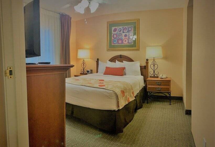 בית מלון כפרי Sonesta Es Suites Dallas Park Central