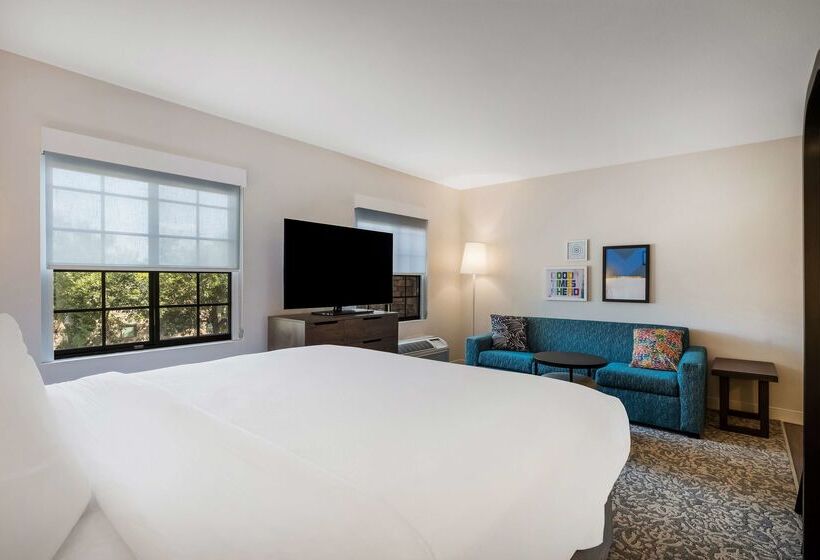 فندق Sonesta Es Suites Denver South  Park Meadows
