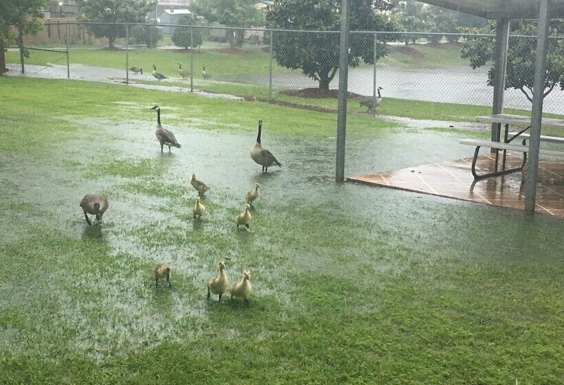 酒店 Trident Inn & Suites, Baton Rouge