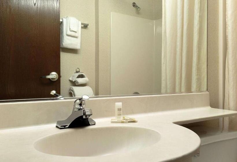 Microtel Inn & Suites By Wyndham Bloomington Msp Airport