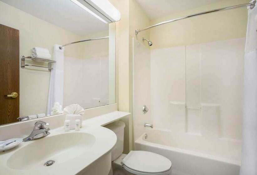 Microtel Inn & Suites By Wyndham Leesburg/mt Dora