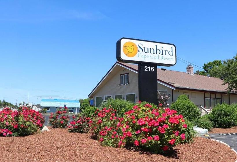 مُتل Sunbird Cape Cod Resort