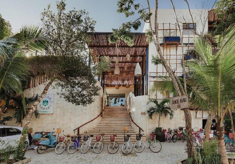 호스텔 Mayan Monkey Tulum | Social