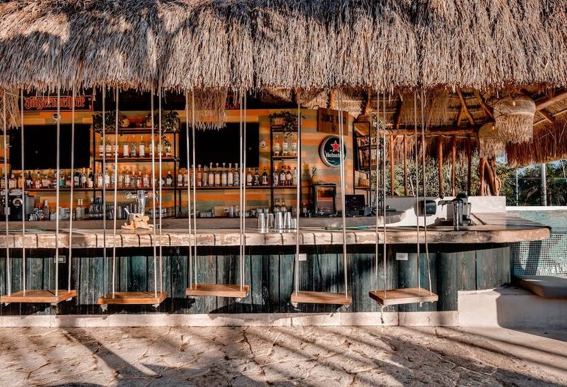 호스텔 Mayan Monkey Tulum | Social