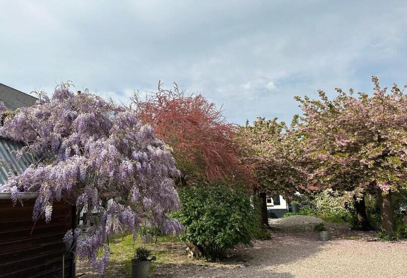 住宿加早餐  Au Presbytère De Saigneville
