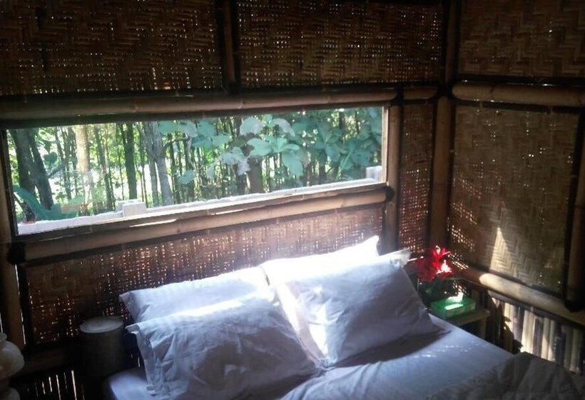 Bed and Breakfast Javana Homestay