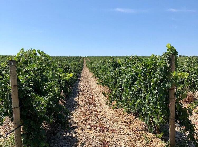 ベッドアンドブレックファースト Logement Onze  Chambres&gîtes