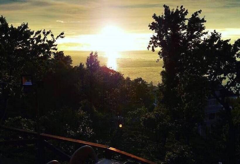 Caca Bungalow & Apart